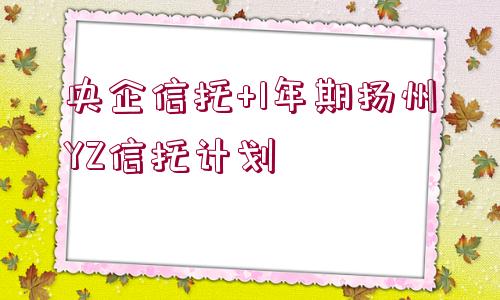 央企信托+1年期揚(yáng)州YZ信托計(jì)劃