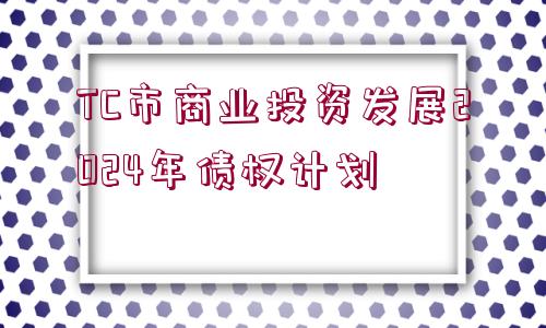 TC市商業(yè)投資發(fā)展2024年債權(quán)計劃