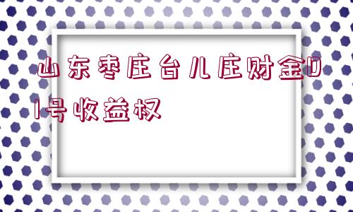 山東棗莊臺兒莊財(cái)金D1號收益權(quán)