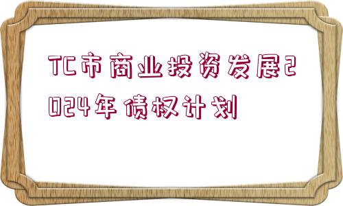 TC市商業(yè)投資發(fā)展2024年債權計劃