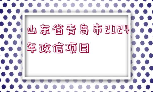 山東省青島市2024年政信項(xiàng)目