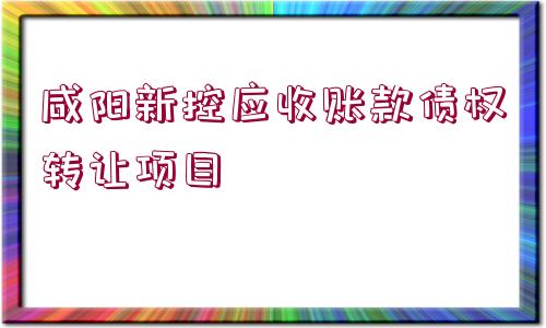 咸陽新控應收賬款債權轉(zhuǎn)讓項目