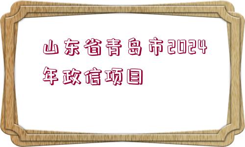 山東省青島市2024年政信項(xiàng)目