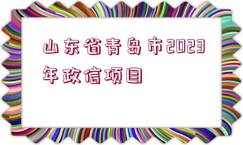 山東省青島市2023年政信項目