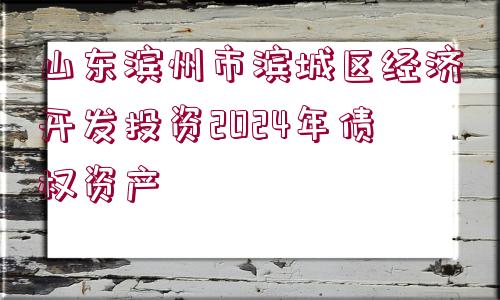 山東濱州市濱城區(qū)經(jīng)濟(jì)開發(fā)投資2024年債權(quán)資產(chǎn)