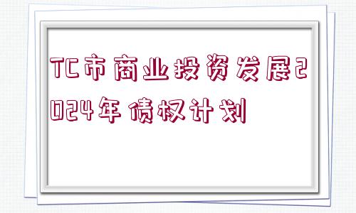 TC市商業(yè)投資發(fā)展2024年債權(quán)計(jì)劃