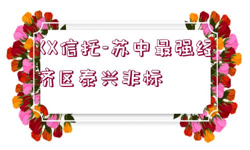 XX信托-蘇中最強(qiáng)經(jīng)濟(jì)區(qū)泰興非標(biāo)