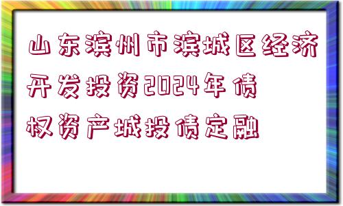 山東濱州市濱城區(qū)經(jīng)濟(jì)開發(fā)投資2024年債權(quán)資產(chǎn)城投債定融