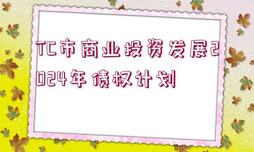 TC市商業(yè)投資發(fā)展2024年債權(quán)計劃