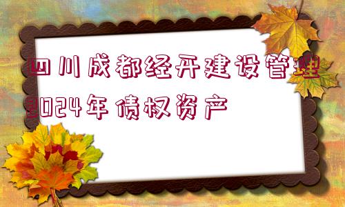 四川成都經(jīng)開建設管理2024年債權資產(chǎn)