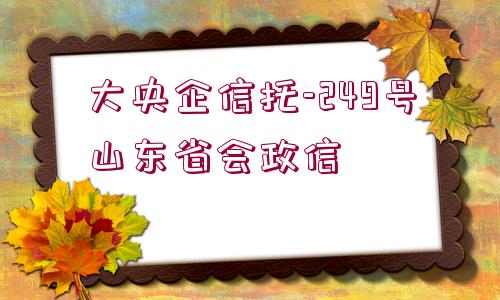 大央企信托-249號山東省會政信