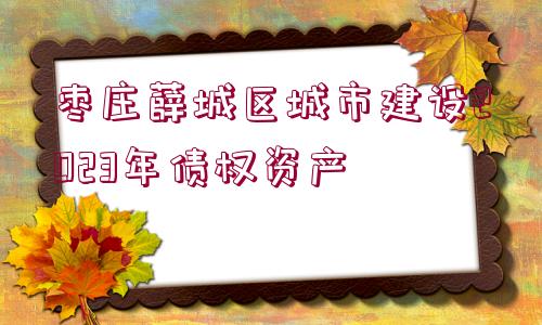 棗莊薛城區(qū)城市建設2023年債權資產