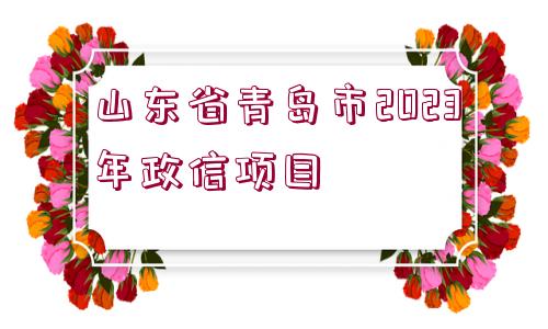 山東省青島市2023年政信項目