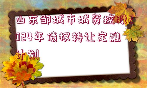 山東鄒城市城資控股2024年債權(quán)轉(zhuǎn)讓定融計劃