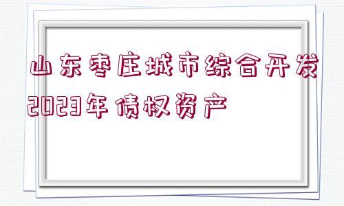 山東棗莊城市綜合開發(fā)2023年債權(quán)資產(chǎn)