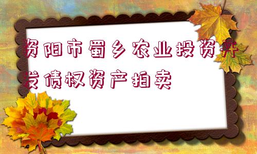 資陽(yáng)市蜀鄉(xiāng)農(nóng)業(yè)投資開(kāi)發(fā)債權(quán)資產(chǎn)拍賣(mài)