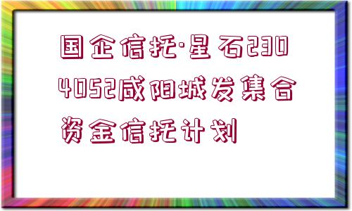 國企信托·星石2304052咸陽城發(fā)集合資金信托計劃