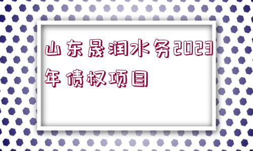 山東晟潤水務2023年債權(quán)項目