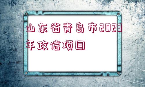 山東省青島市2023年政信項目