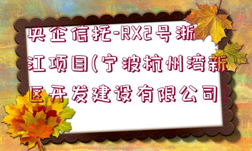 央企信托-RX2號浙江項目(寧波杭州灣新區(qū)開發(fā)建設有限公司)