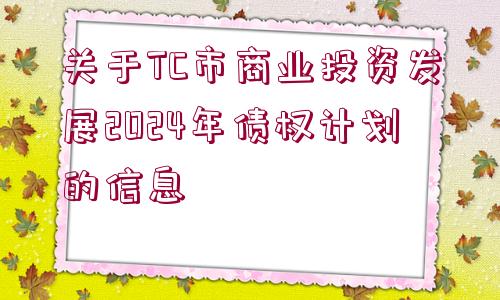 關于TC市商業(yè)投資發(fā)展2024年債權計劃的信息