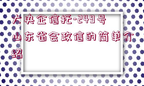 大央企信托-249號山東省會政信的簡單介紹