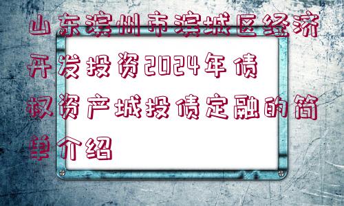 山東濱州市濱城區(qū)經濟開發(fā)投資2024年債權資產城投債定融的簡單介紹