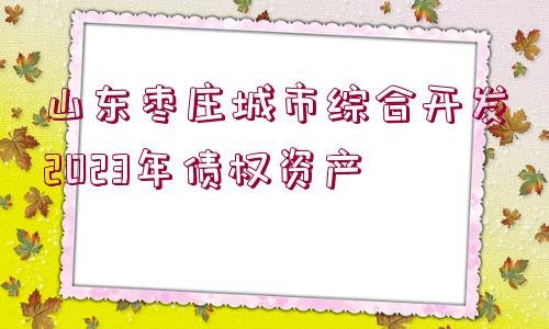 山東棗莊城市綜合開(kāi)發(fā)2023年債權(quán)資產(chǎn)