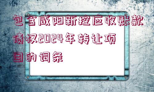 包含咸陽新控應(yīng)收賬款債權(quán)2024年轉(zhuǎn)讓項(xiàng)目的詞條