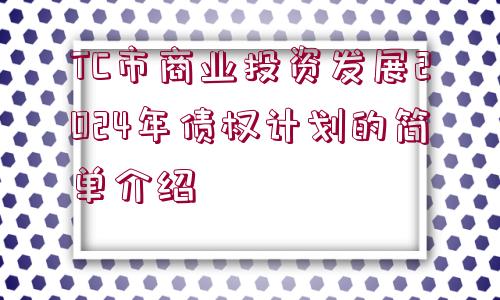 TC市商業(yè)投資發(fā)展2024年債權(quán)計劃的簡單介紹