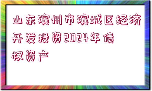 山東濱州市濱城區(qū)經(jīng)濟(jì)開發(fā)投資2024年債權(quán)資產(chǎn)