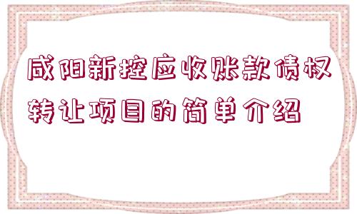 咸陽(yáng)新控應(yīng)收賬款債權(quán)轉(zhuǎn)讓項(xiàng)目的簡(jiǎn)單介紹