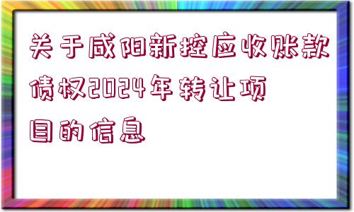 關(guān)于咸陽(yáng)新控應(yīng)收賬款債權(quán)2024年轉(zhuǎn)讓項(xiàng)目的信息