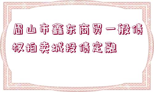 眉山市鑫東商貿(mào)一般債權(quán)拍賣城投債定融