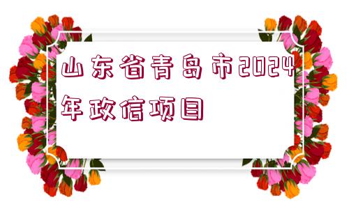 山東省青島市2024年政信項(xiàng)目