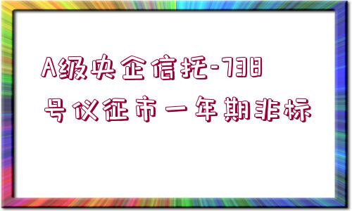 A級(jí)央企信托-738號(hào)儀征市一年期非標(biāo)