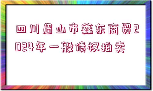 四川眉山市鑫東商貿(mào)2024年一般債權拍賣