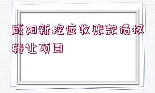 咸陽新控應收賬款債權轉讓項目