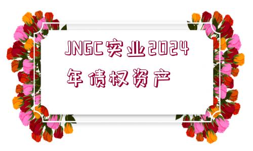 JNGC實(shí)業(yè)2024年債權(quán)資產(chǎn)