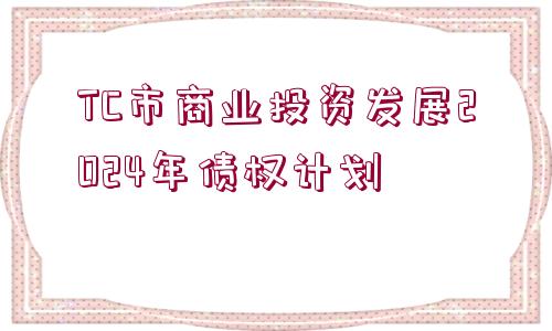 TC市商業(yè)投資發(fā)展2024年債權(quán)計(jì)劃