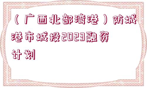 （廣西北部灣港）防城港市城投2023融資計(jì)劃