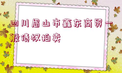 四川眉山市鑫東商貿一般債權拍賣