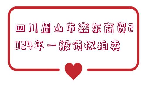 四川眉山市鑫東商貿(mào)2024年一般債權(quán)拍賣