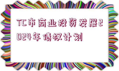 TC市商業(yè)投資發(fā)展2024年債權(quán)計(jì)劃