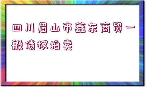 四川眉山市鑫東商貿(mào)一般債權(quán)拍賣