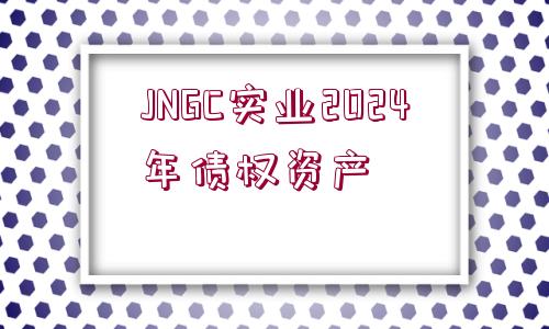 JNGC實(shí)業(yè)2024年債權(quán)資產(chǎn)