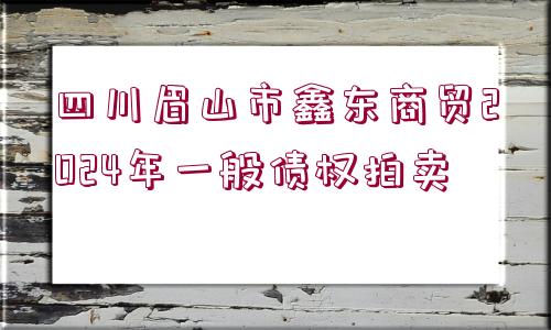 四川眉山市鑫東商貿(mào)2024年一般債權(quán)拍賣