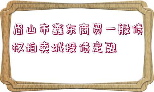 眉山市鑫東商貿(mào)一般債權(quán)拍賣城投債定融