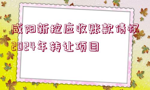 咸陽新控應(yīng)收賬款債權(quán)2024年轉(zhuǎn)讓項(xiàng)目