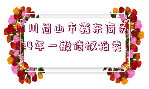 四川眉山市鑫東商貿(mào)2024年一般債權(quán)拍賣(mài)